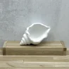 Schale „Muschel“