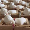Geschenkbundle „UnentBÄRlich“ Geschenkbundle „UnentBÄRlich“