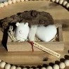 Geschenkbundle „UnentBÄRlich“ Geschenkbundle „UnentBÄRlich“